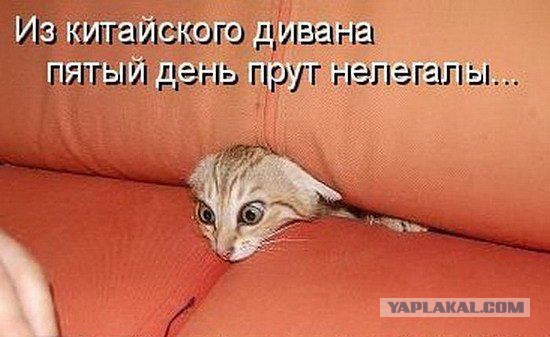 Поднимаем настроение