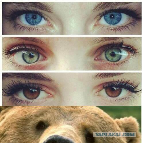 Ты узнаешь его из тысячи...