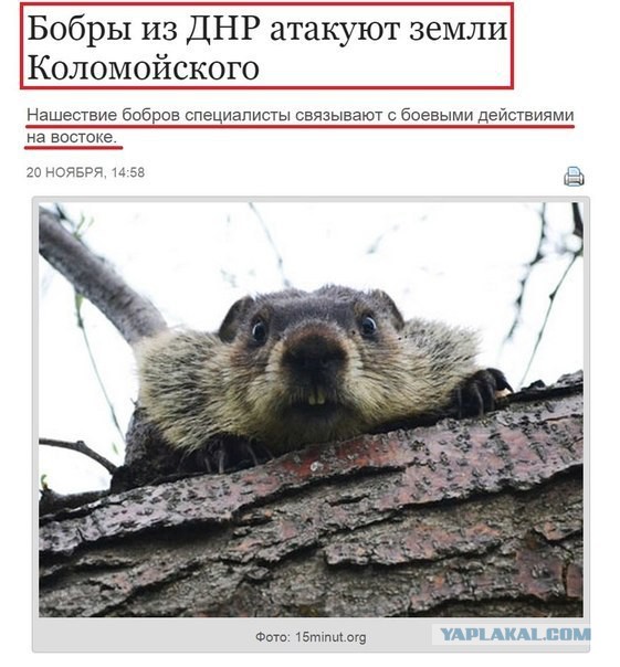 Картинки из сети для настроения