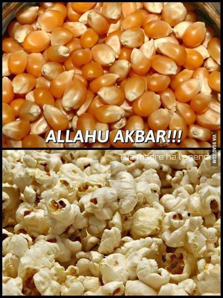 Забавные картинки.