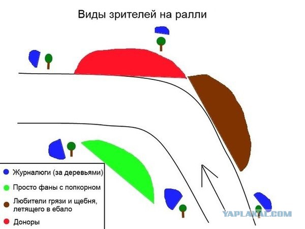 Всегда думал, что в ралли главное - машины
