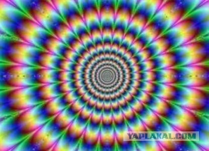 Современная мода