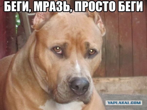 Бурение скважины на воду