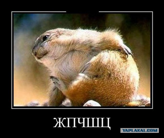 Убью скуку! А кто сразу правильно прочитал? :)))