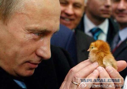  Китай  всегда поддерживать  России 