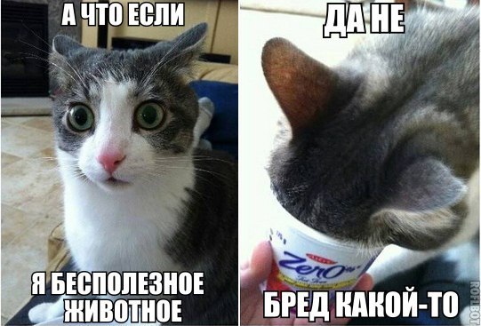 Немного позитива