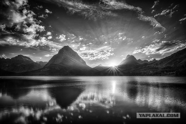 20 фотографий, доказывающих, что цвет не важен