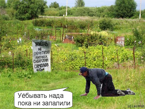 Фотожаба: ползун