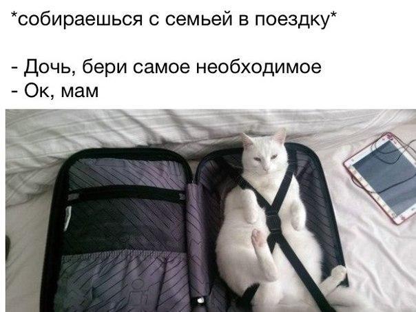 Картинки и демотиваторы