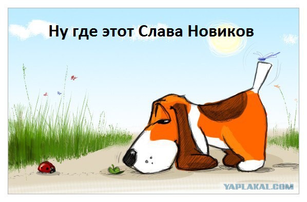 У меня грустные новости для соЯПовца. Слава Новиков тут есть?