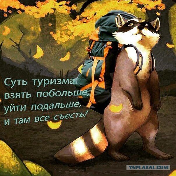 Предметы, "необходимые" в походе
