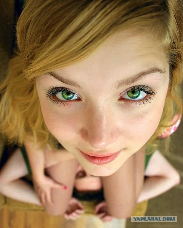 Вестник социальных сетей