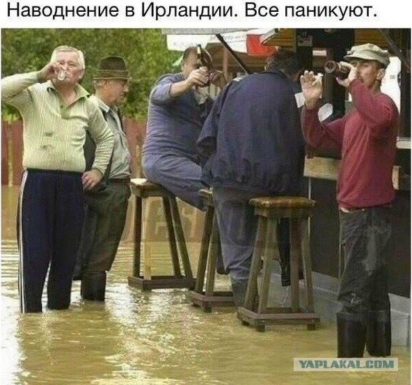 Подборка интересных и веселых картинок