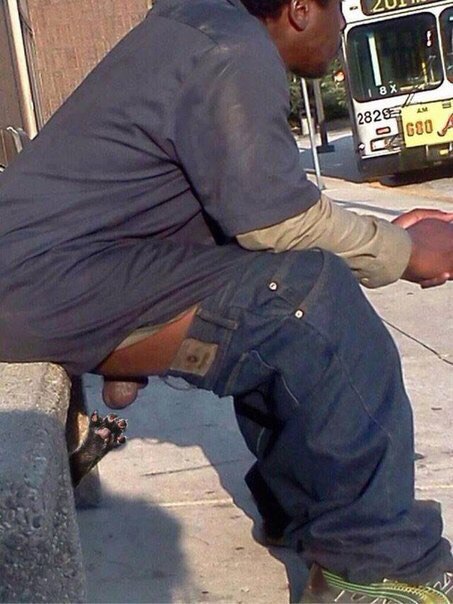 WTF: Что тут происходит?