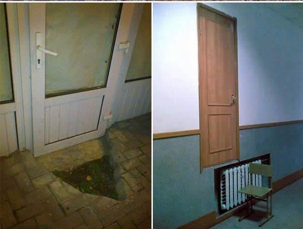 Забавные картинки из сети
