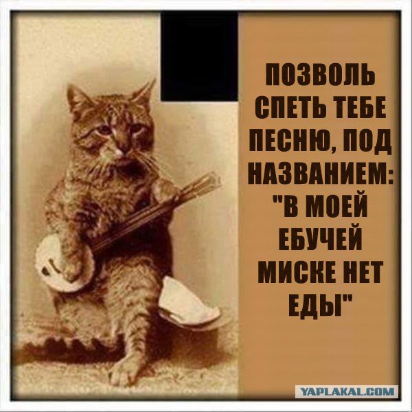 Всякое разное из интернета