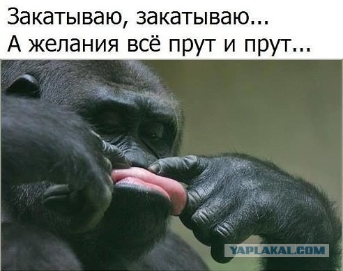 Я хочу это прямо сейчас!