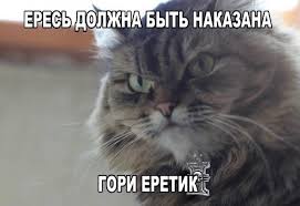 Садист облил кота бензином, привязал к его голове фейерверк и поджег