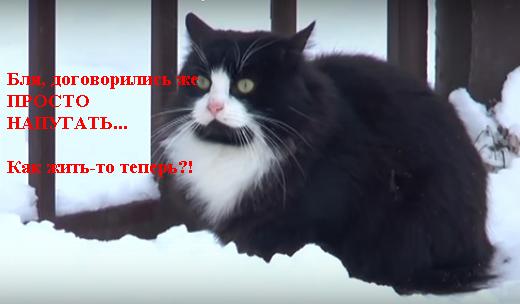 Волки съели алабая