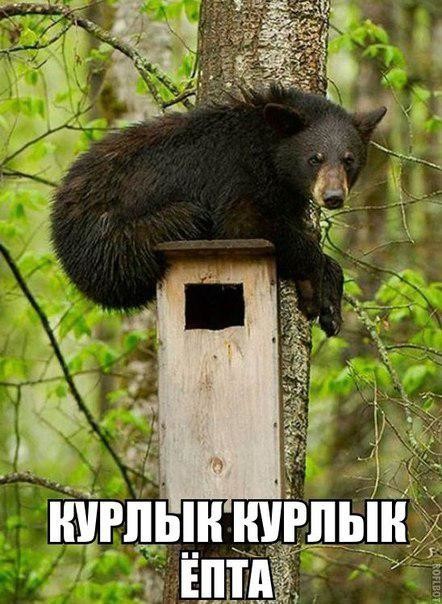Москвичка, застуканная мужем, выдала любовника за насильника