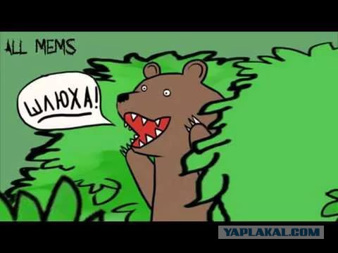 Содержанки и спонсоры - Жадность
