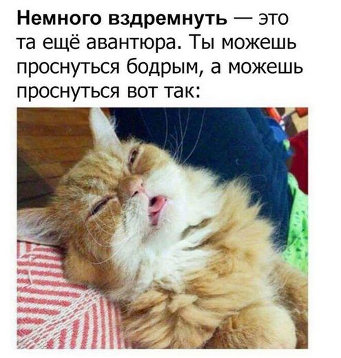 100 картинок для поднятия настроения!