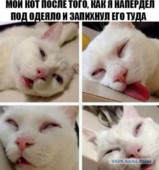 Вред печного отопления для здоровья