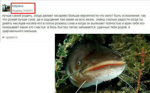 Спонцар! Срочно нужен спонцар!