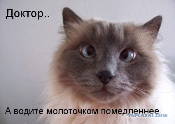 Эпитафия по Плаза