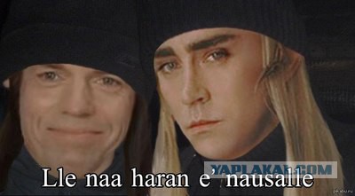 Итоги проверки пользователей
