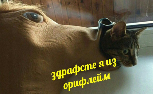 Итоги проверки пользователей