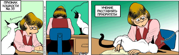Признаки кошкости