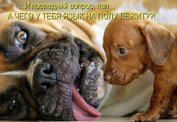 Немного картинок в этот понедельник