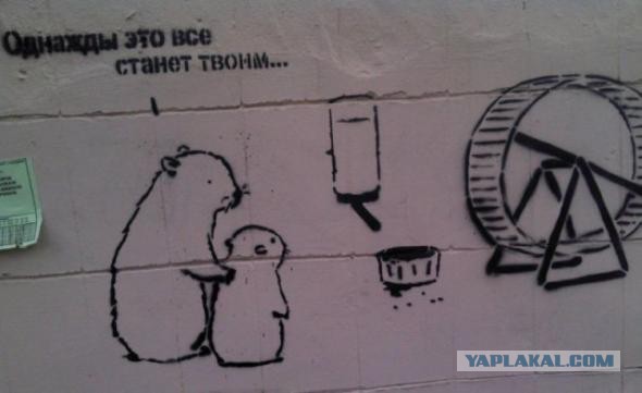 «Бродячие» философы: 17 глубокомысленных заметок в транспорте и на улицах