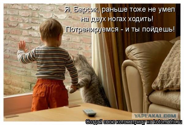 Лучшие друзья навсегда