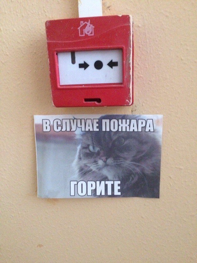 Прикольные надписи и объявления