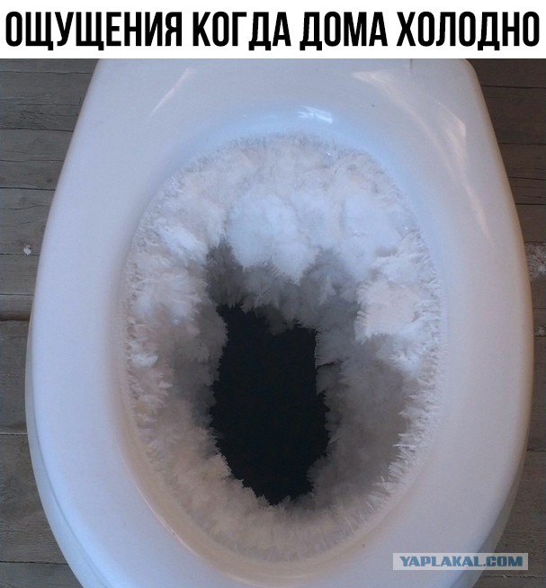Картинки с надписями