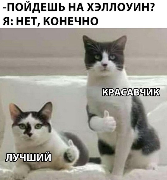 Чуток картинок 08.11.19