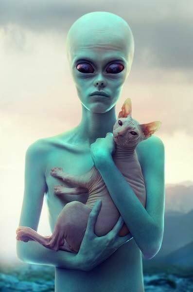 Crazy Art. Новогодний