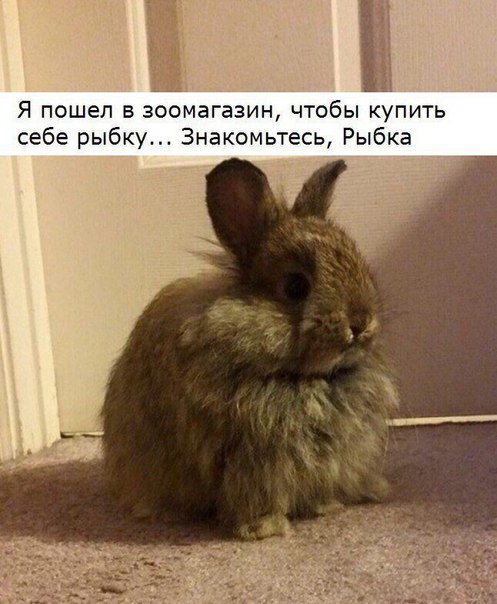 Немного картинок для настроения 27.01.20