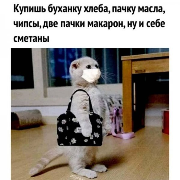 Прикольные и просто красивые картинки 10.11.2020