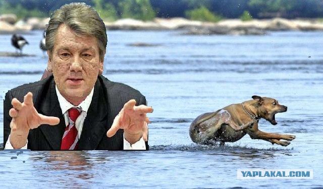 Фотожаба: Хозяин! Ты что делаешь?!