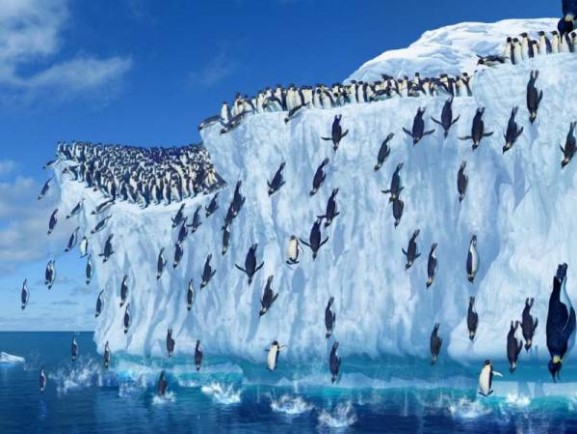 Что скрывает Антарктида, помимо пингвинов – неожиданные факты
