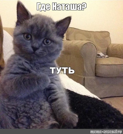 Мемы про Наташу