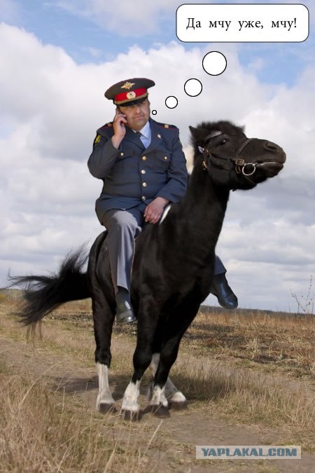 Фотожаба: Грустный...