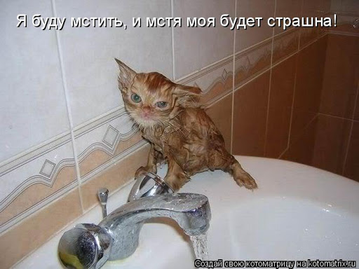 В Петербурге участников протестной акции из кафе выгнали на улицу, где их задержал ОМОН