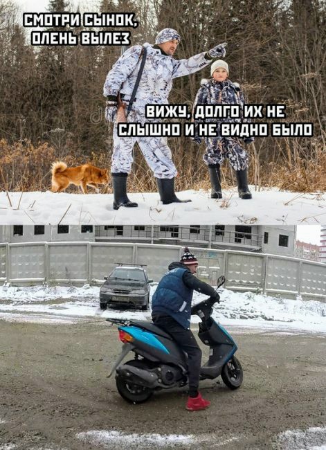 Картинки и мемы для настроения 14.04.2021