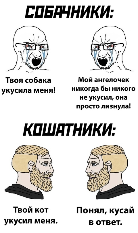 Картинки и мемы для настроения 29.06.2021