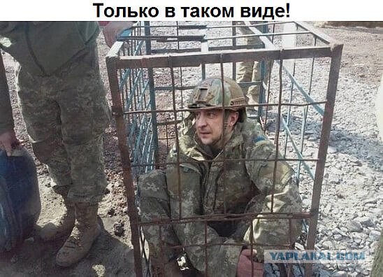 Подоляка 11.03.22 на 11:00