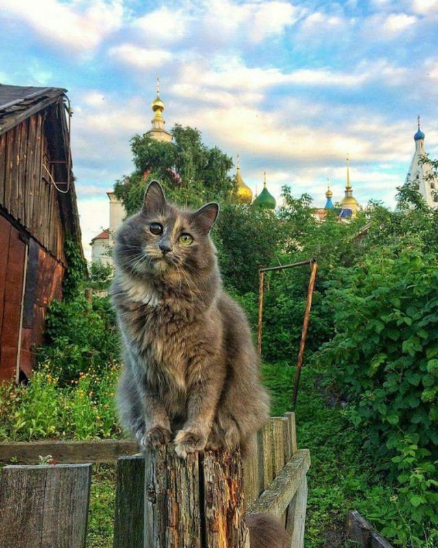 Что-то домой захотелось, в деревню мою